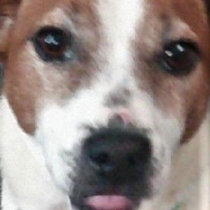 Meet your Posher, Jade Jackson